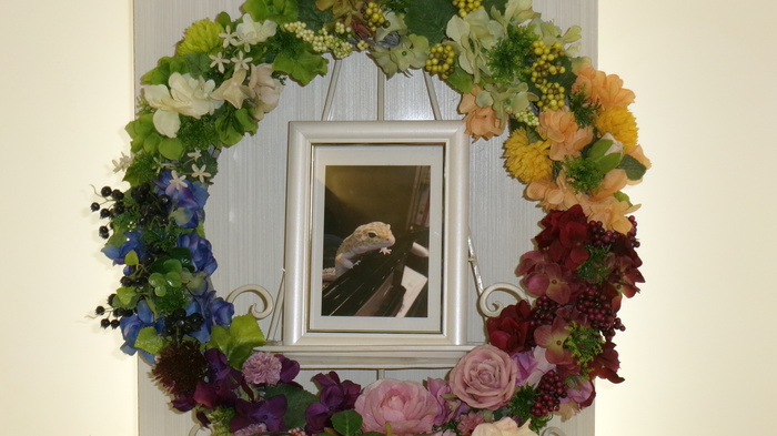 2026,1,28菅井家おろしちゃん (2).JPG