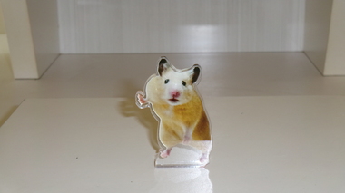 
              那珂市ハムスター・メルちゃん