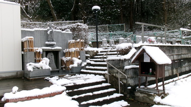 
              水戸ペットセレモニー