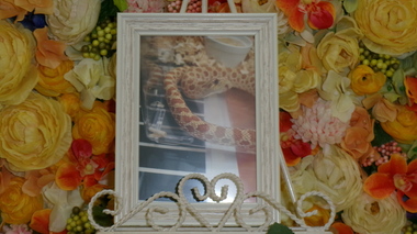 
              水戸市セイブシシバナヘビ・ぐりちゃん