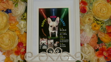 
              水戸市愛犬ちくわぶちゃん