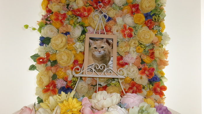 2026,6,7那珂家ぴーちゃん.JPG