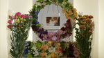 ひたちなか市愛猫マルちゃん
