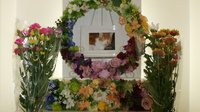 ひたちなか市愛猫マルちゃん