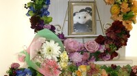 水戸市ハムスター・ラッキーちゃん