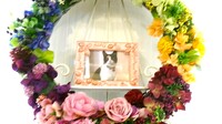 小美玉市愛猫藍華（アイカ）ちゃん