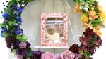 那珂市トイプードル愛犬ことちゃん