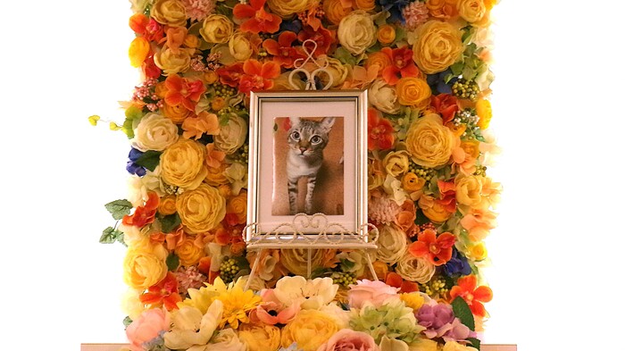 2026.8.23後藤家スカイちゃん.JPG