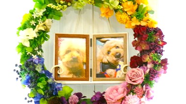 
              水戸市愛犬レオンちゃん