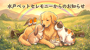 
              水戸ペットセレモニー　納骨堂