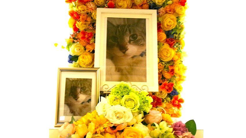 2026.10.19takakurakemizorecyan.JPG