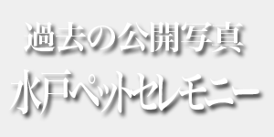 過去の公開写真 水戸ペットセレモニー