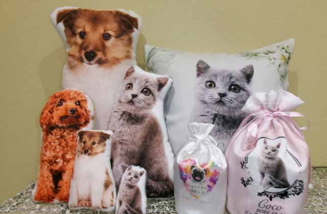 カプセルボード