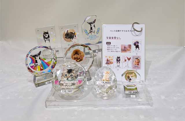 ぷリザーブド写真立て